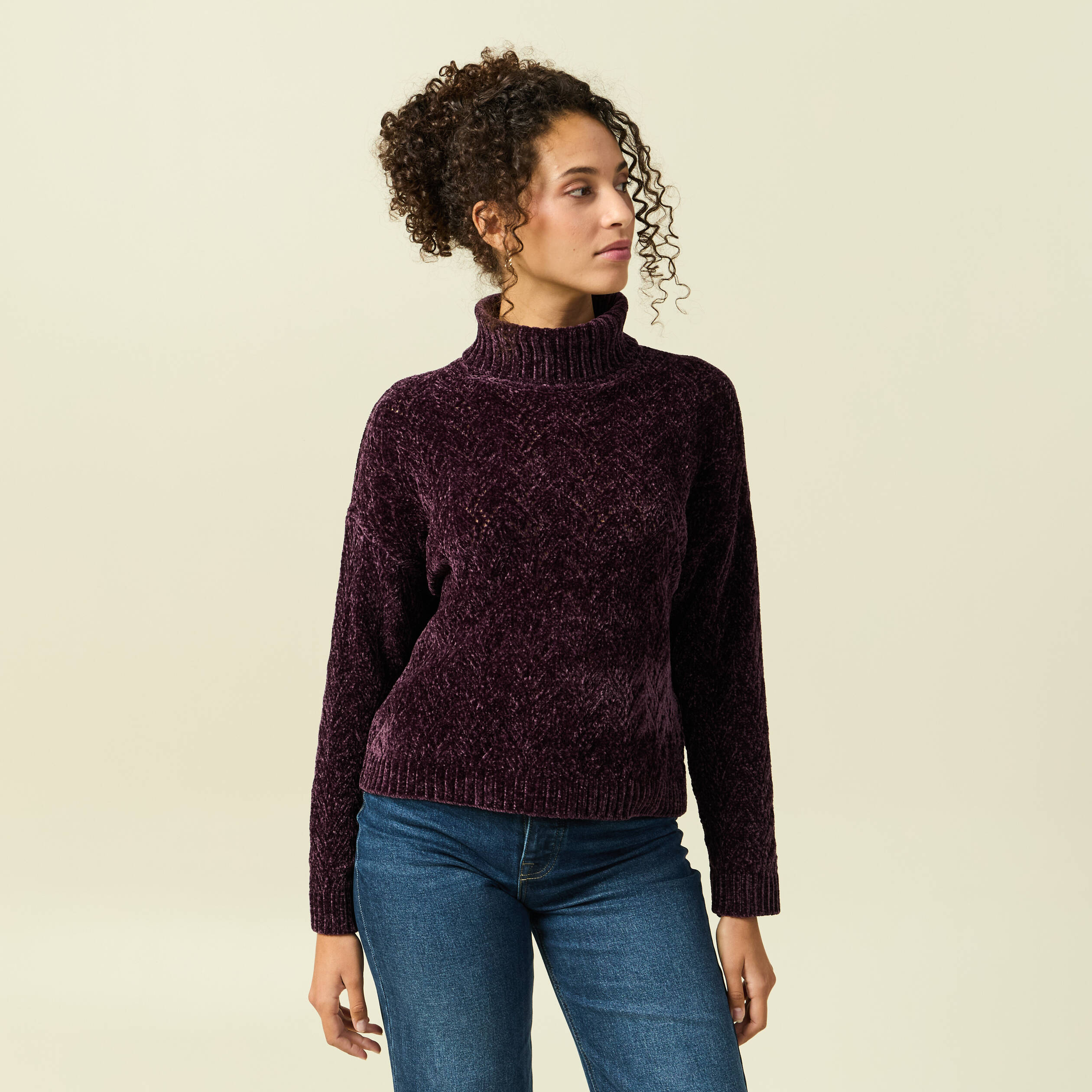 Pull col roul&eacute; manches longues prune femme