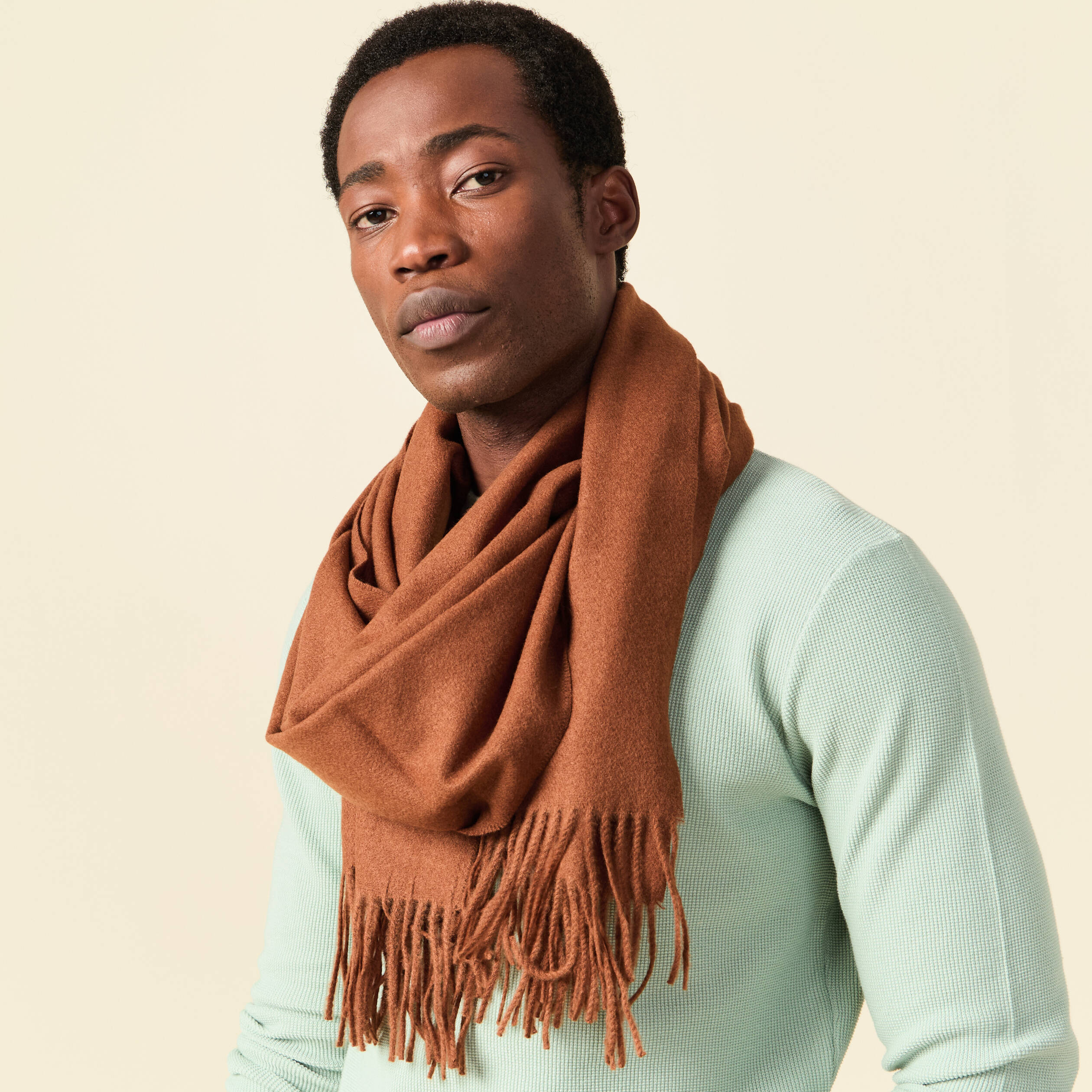 &Eacute;charpe marron homme