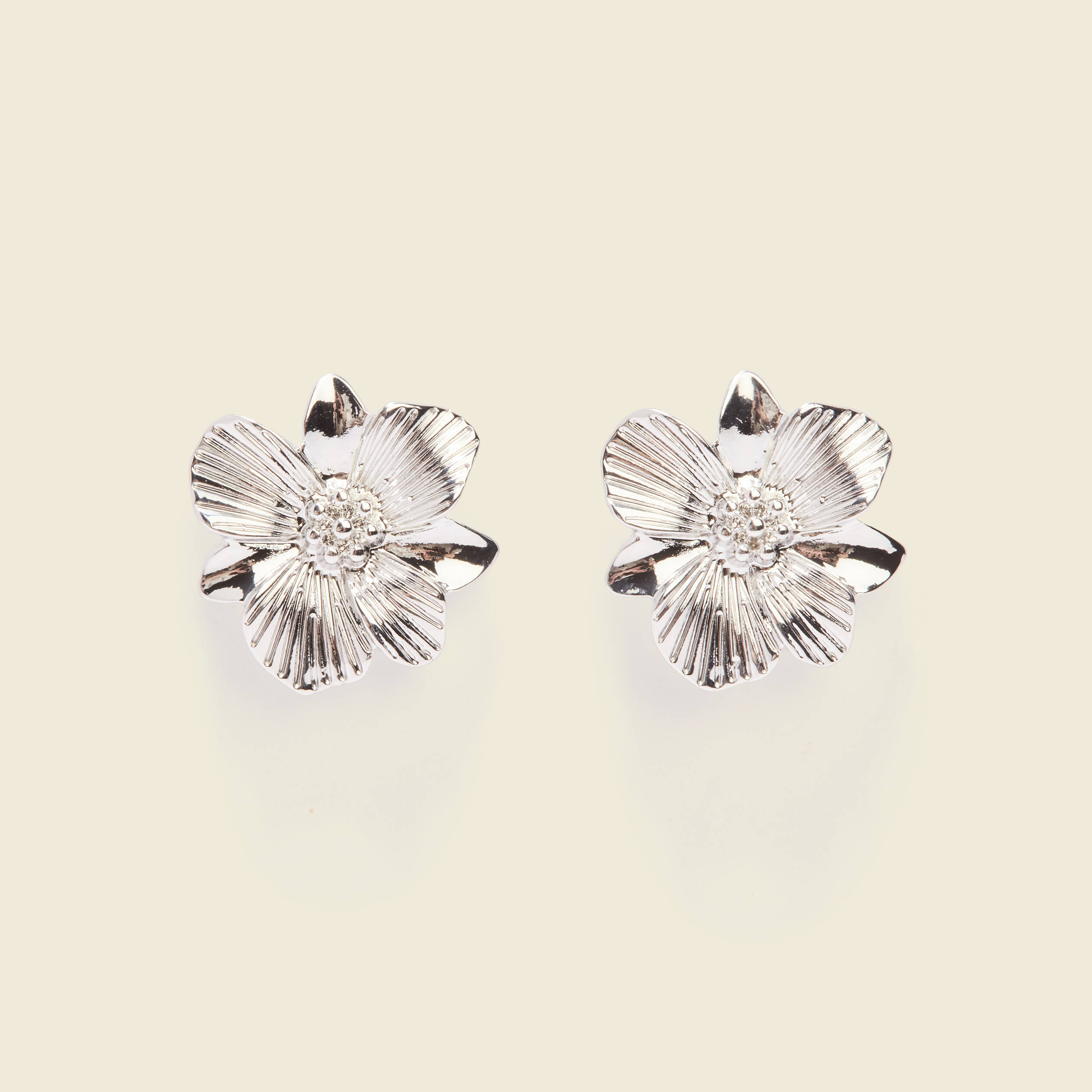 Boucles d'oreilles clous couleur argent femme