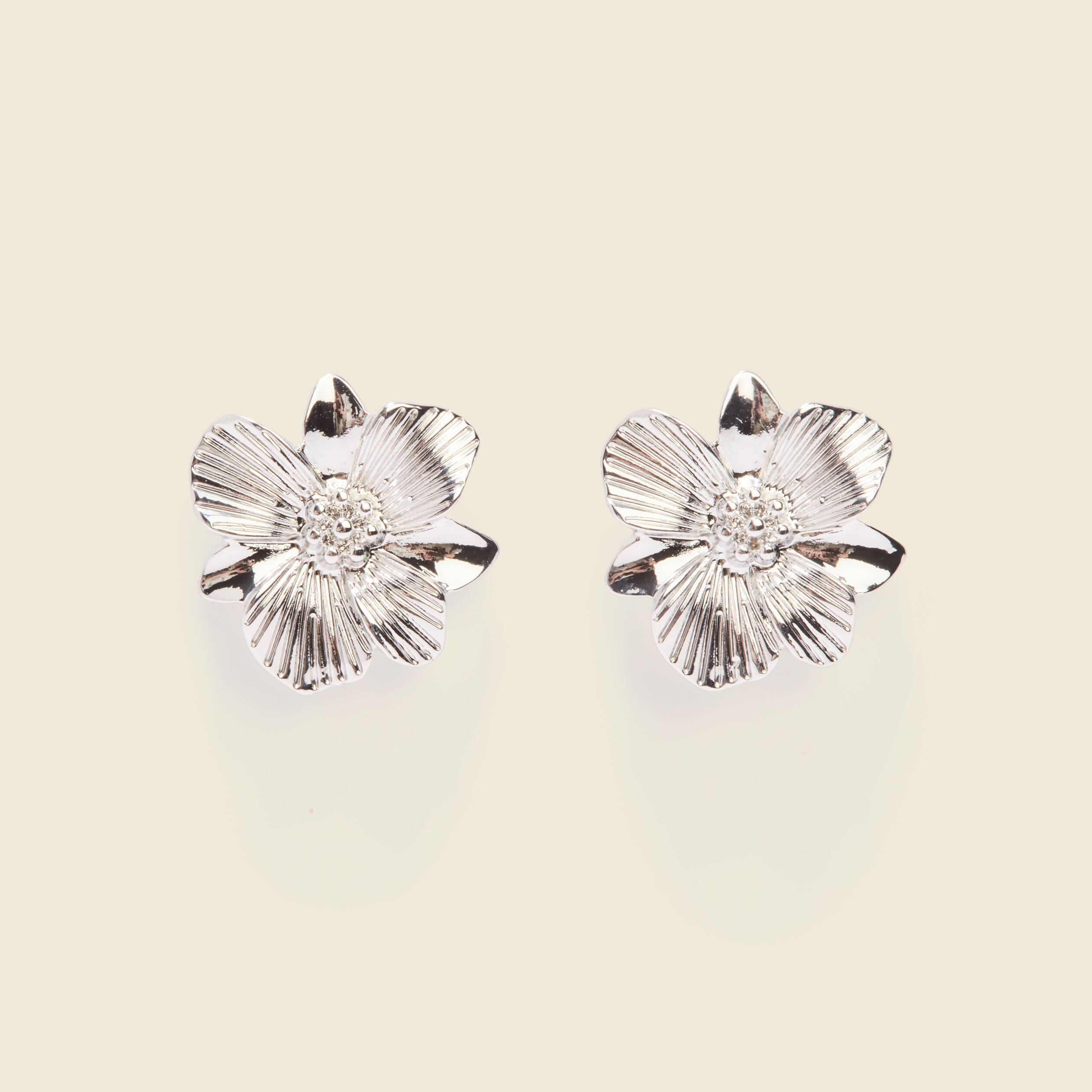 Boucles d'oreilles clous couleur argent femme