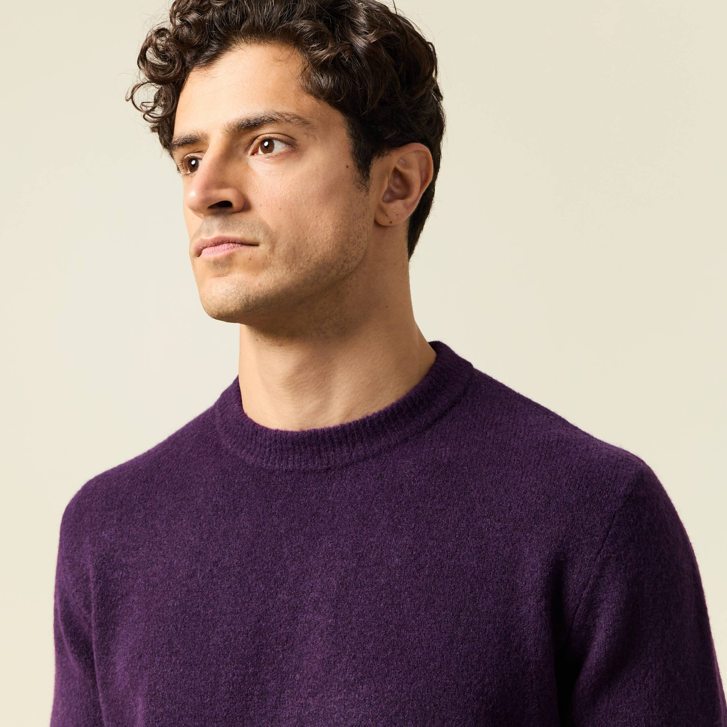 Pull manches longues col rond violet fonc&eacute; homme