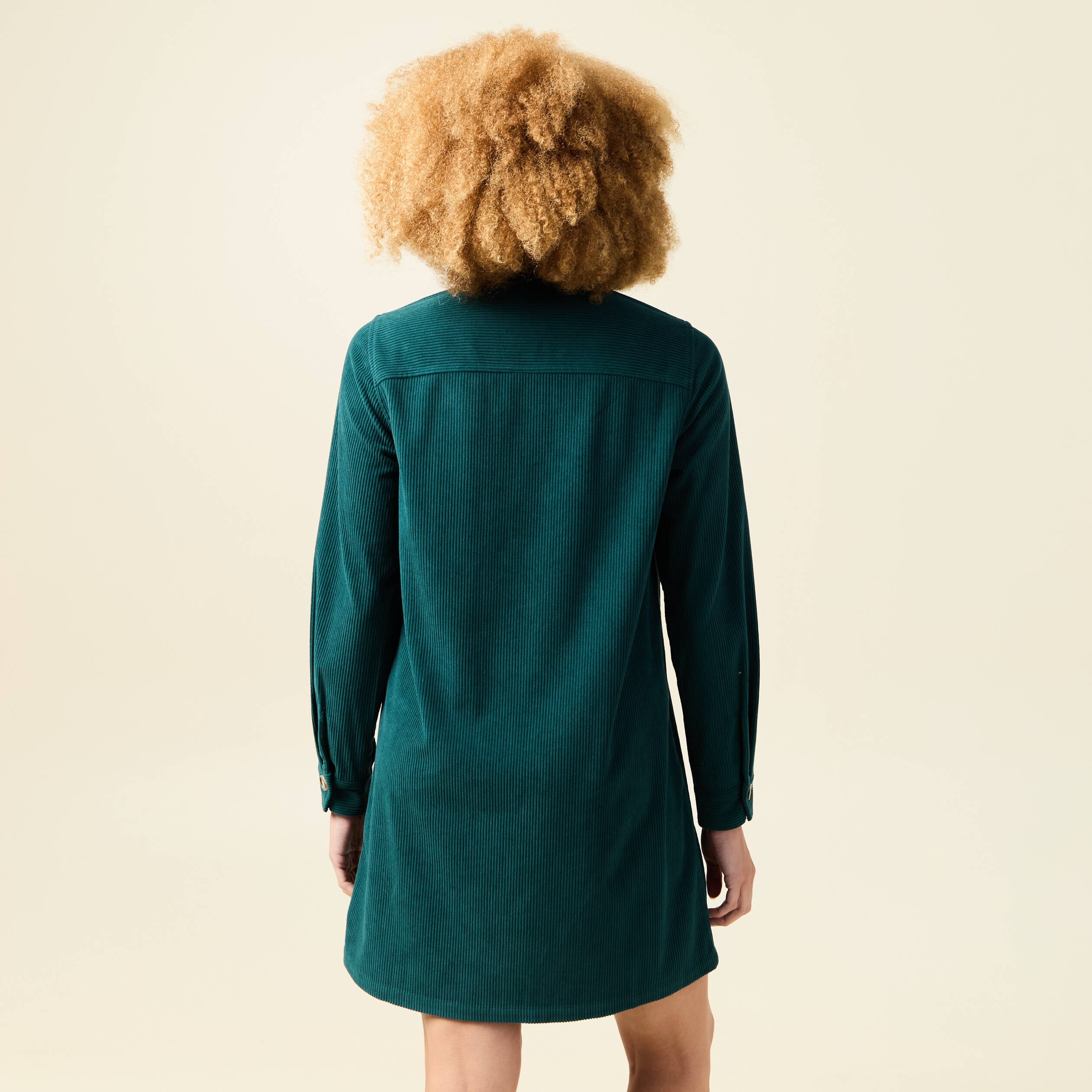 Robe droite velours col polo vert fonc&eacute; femme
