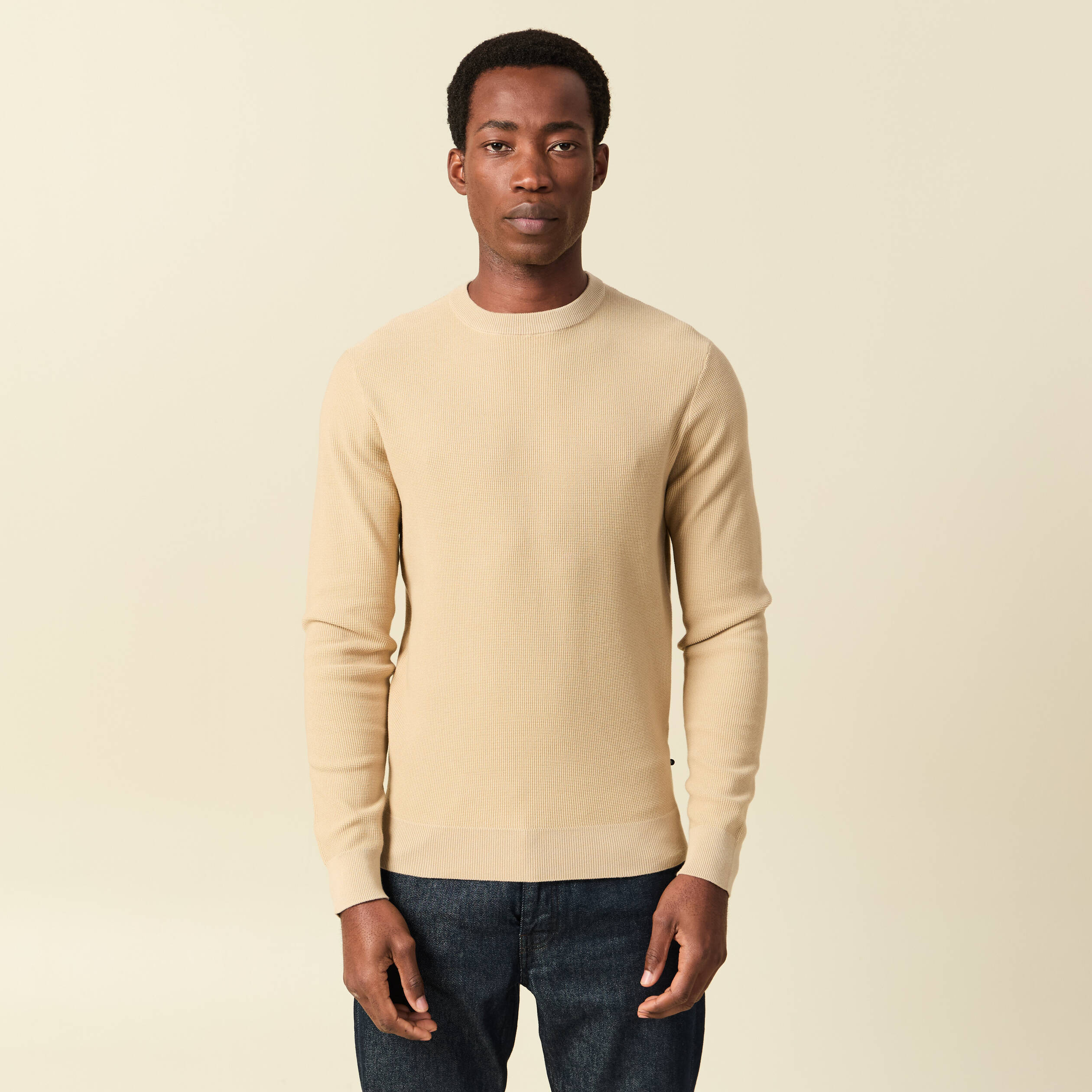 Pull fin col rond manches longues beige homme