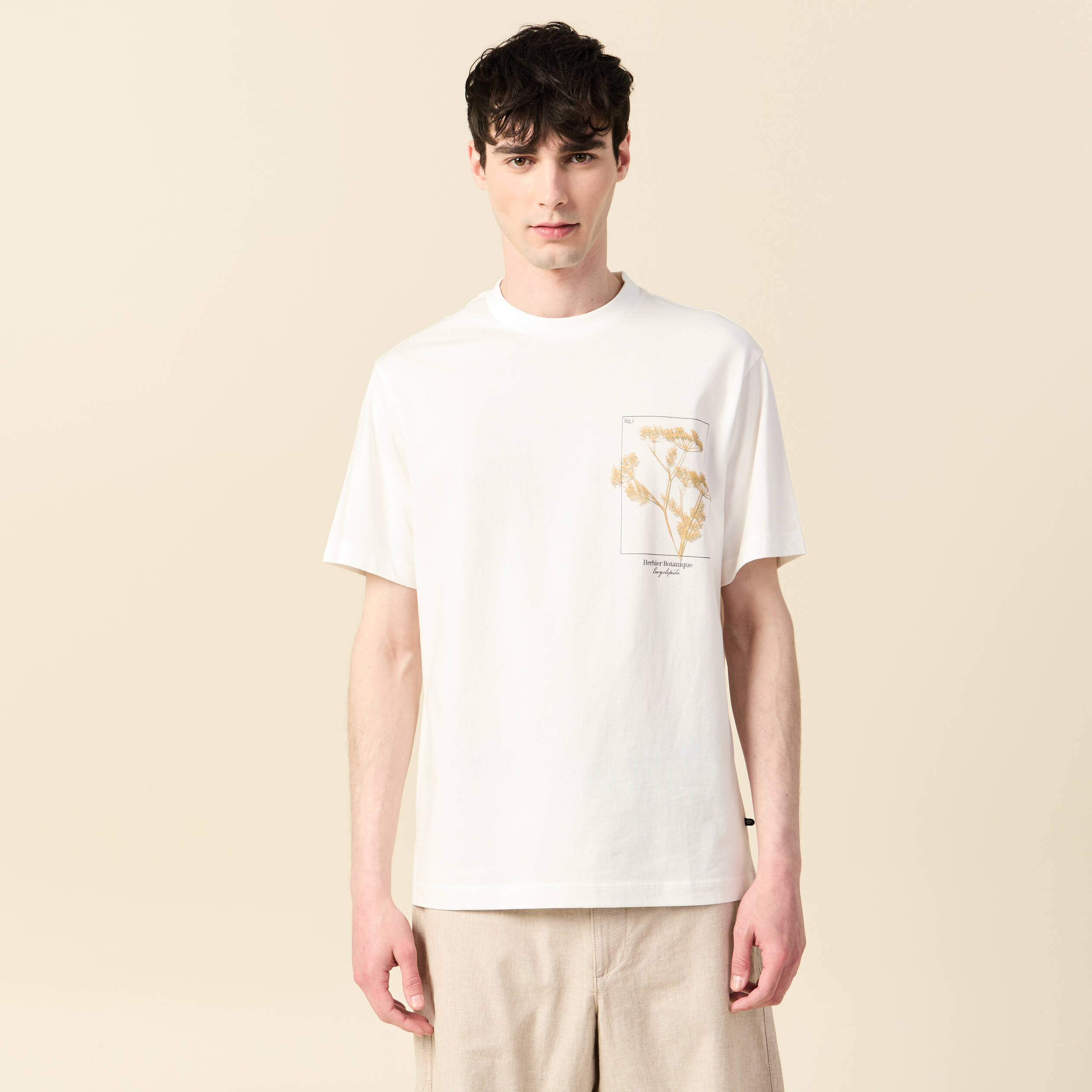t shirt manches courtes ecru homme T-shirt manches courtes ecru homme